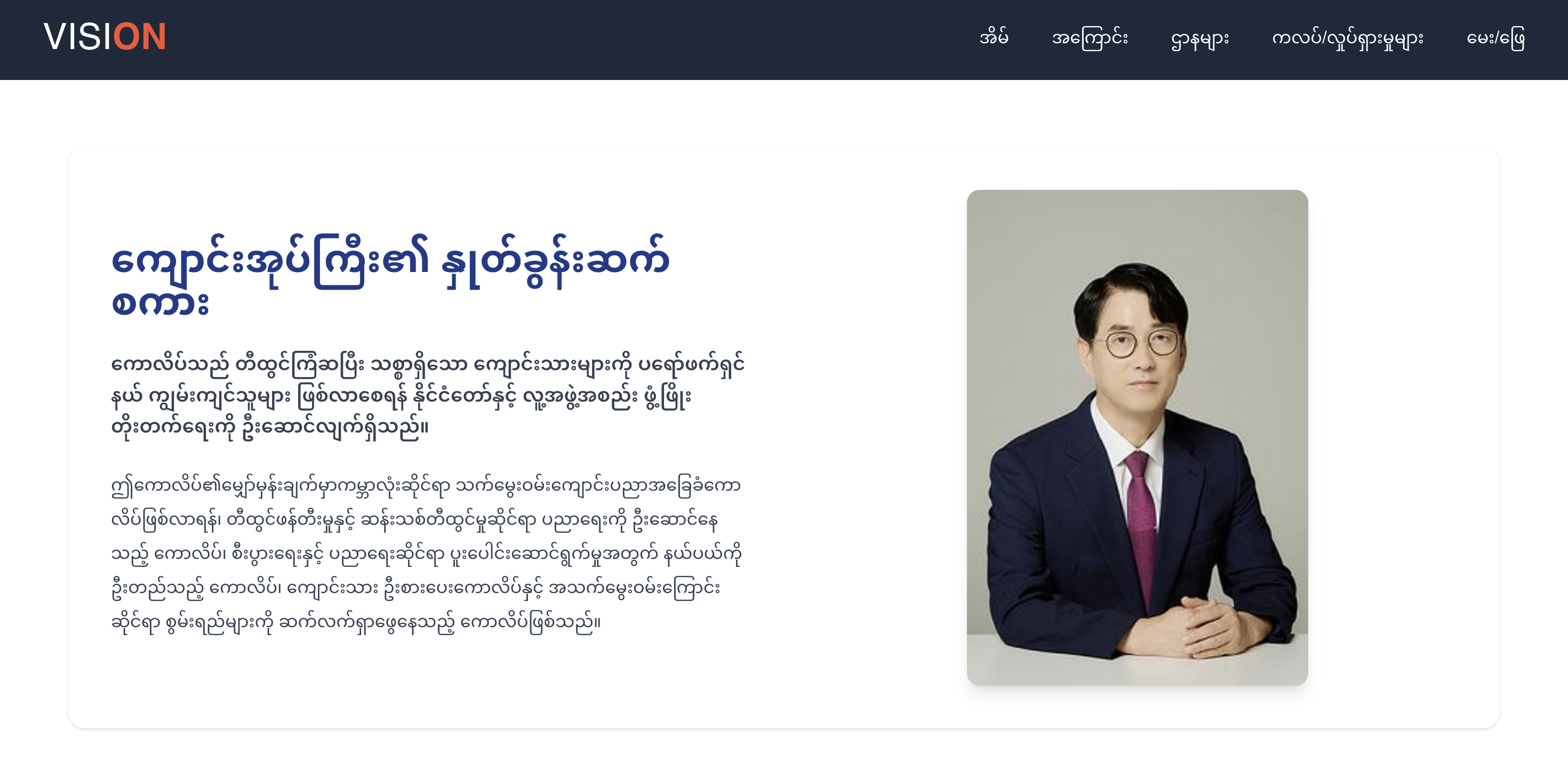 MJVision - Image 2